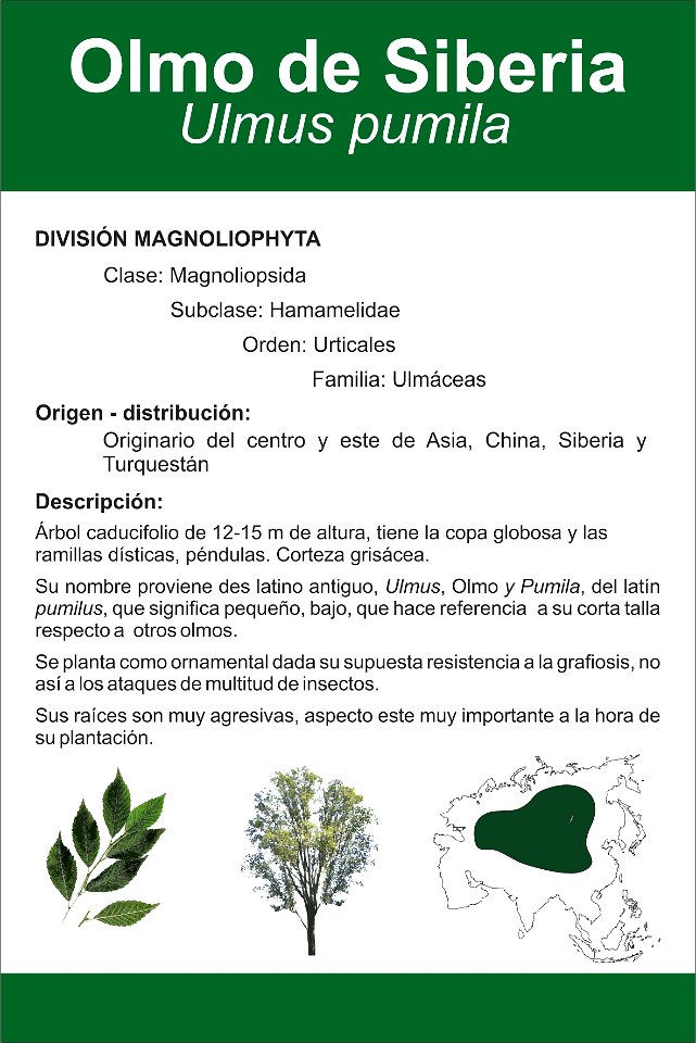 Ficha de botánica. Clasificación, origen, ilustraciones y mapa de distribución.