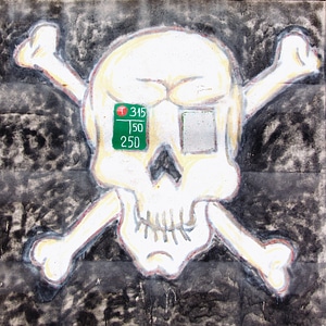 Skull and bones photo