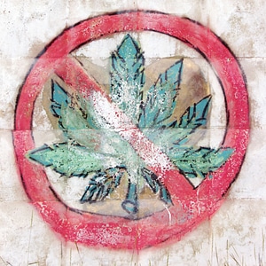 No weeds symbol photo