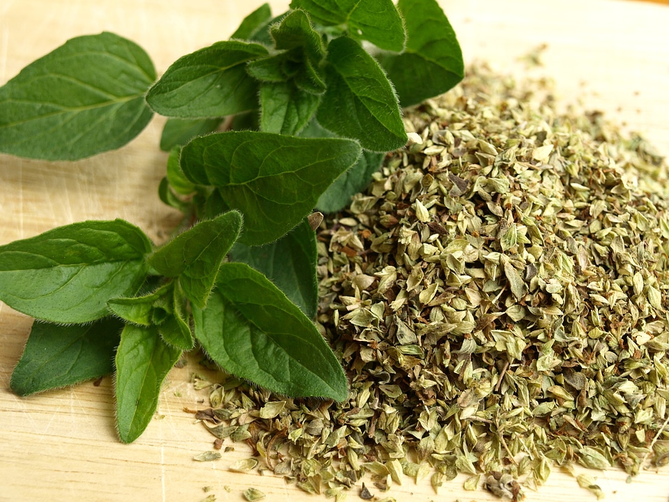 Cook aromatic herbs dry