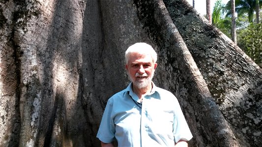 Peter Murray-Rust in front of Ceiba pentandra in the Botanical Garden of Rio de Janeiro.