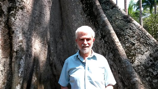 Peter Murray-Rust in front of Ceiba pentandra in the Botanical Garden of Rio de Janeiro. photo