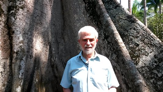 Peter Murray-Rust in front of Ceiba pentandra in the Botanical Garden of Rio de Janeiro. photo