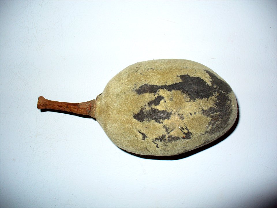 I am the originator of this photo. I hold the copyright. I release it to the public domain. This photo depicts a fruit.