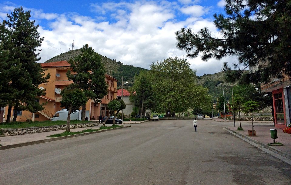 Plane tree of Leskovik, Southern Albania