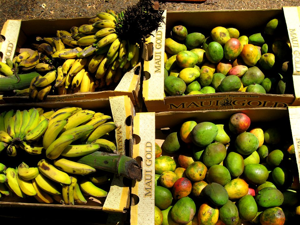 Mangoes and bananas in boxes.