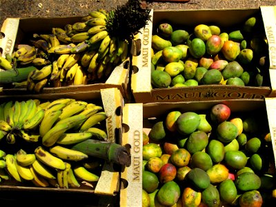 Mangoes and bananas in boxes. photo