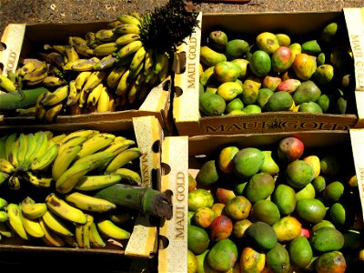 Mangoes and bananas in boxes.