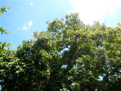 Bustos, Bulacan during Pandemic photo