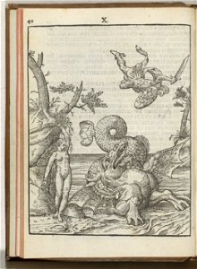IdentificatieTitel(s): Voorstelling van Perseus en Andromeda, 1577Objecttype: prent nieuwsprent Objectnummer: BI-1937-210-10Catalogusreferentie: FMH 751-B/XAtlas van Stolk 641-XHollstein Dutch 9Omschr photo