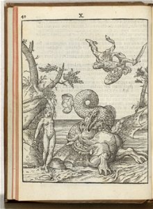 IdentificatieTitel(s): Voorstelling van Perseus en Andromeda, 1577Objecttype: prent nieuwsprent Objectnummer: BI-1937-210-10Catalogusreferentie: FMH 751-B/XAtlas van Stolk 641-XHollstein Dutch 9Omschr