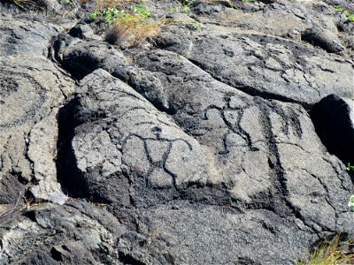 Puʻu Loa petroglyphs photo