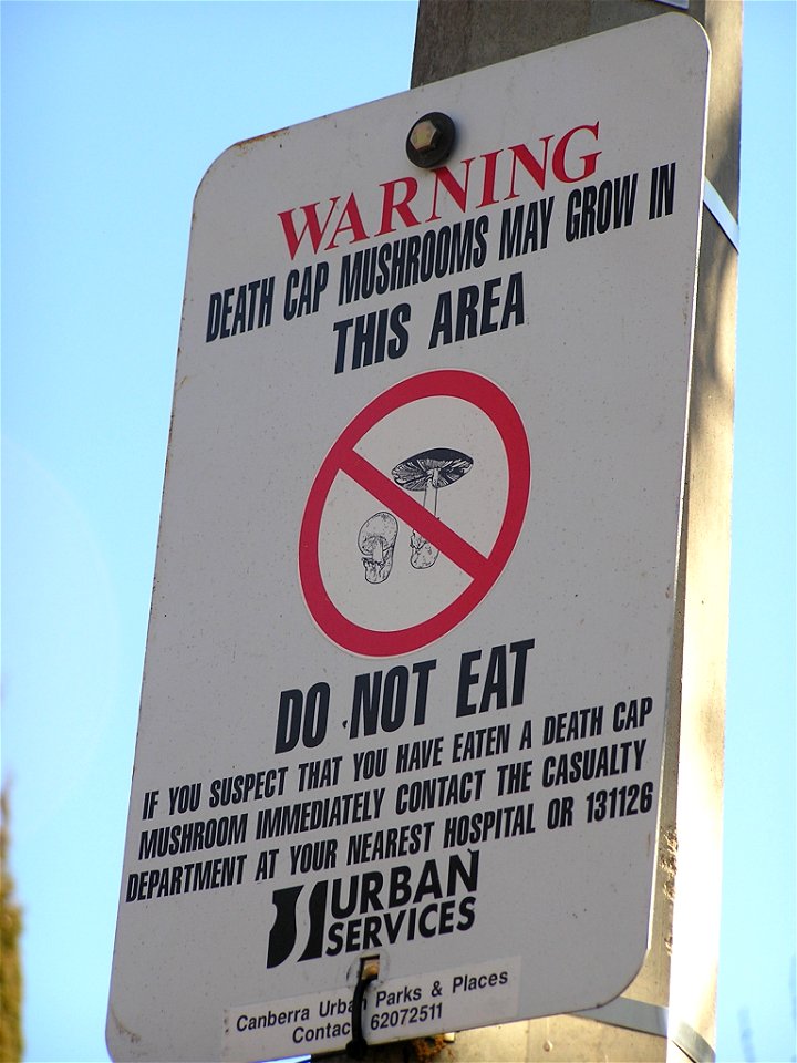 Warning sign for Death Cap Mushrooms, Canberra, Australia