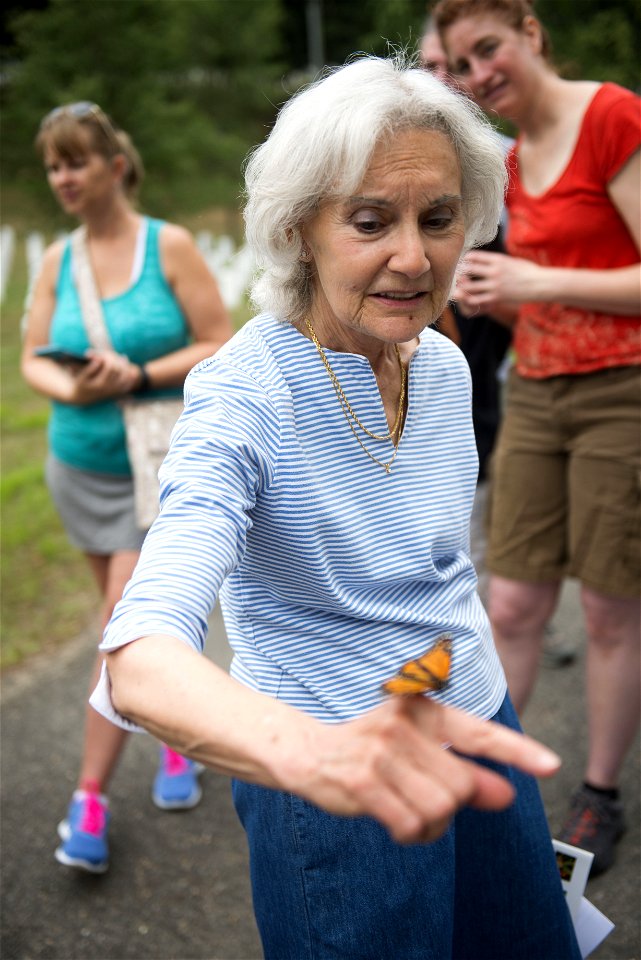Marge Alia releases a Monarch Butterfly during a butterfly release with Monarch Teacher Network in Arlington National Cemetery, Aug. 9, 2016, in Arlington, Va. The cemetery plants several types of loc photo