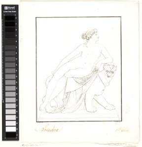 IdentificatieTitel(s): Ariadne zittend op een panter; vooraanzichtAanzichten van het beeld van Heinrich von Dannecker van Ariadne op de panter (serietitel) Objecttype: prent Objectnummer: RP-P-2013-24