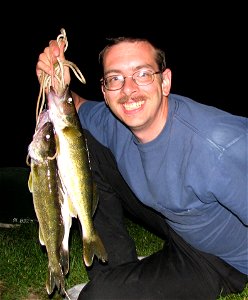 Walleyes caught in the alleghany river photo
