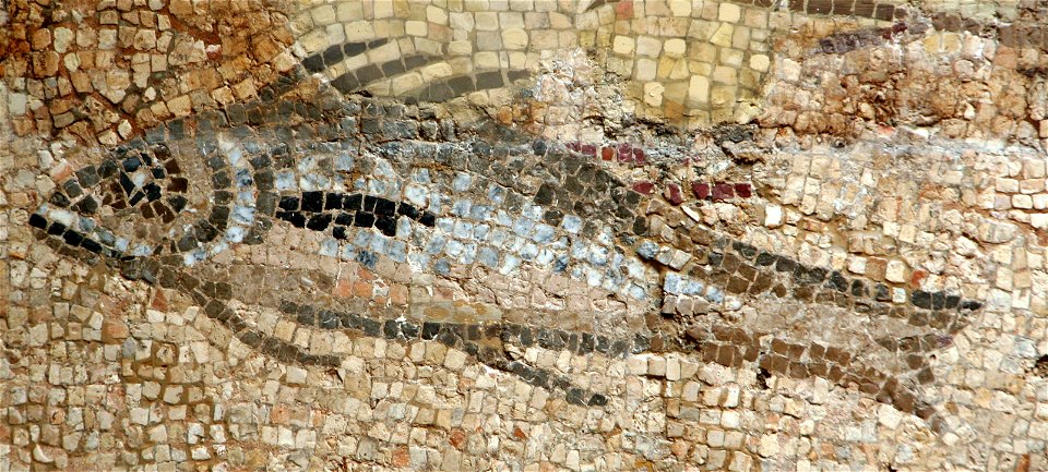 Mosaic with Fishes (Detail, Seabass)