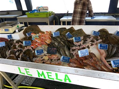 Direct sales of fish on the port of Capbreton (Landes, France). photo