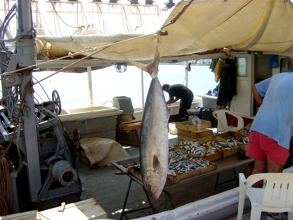 A nice fish in Kreta