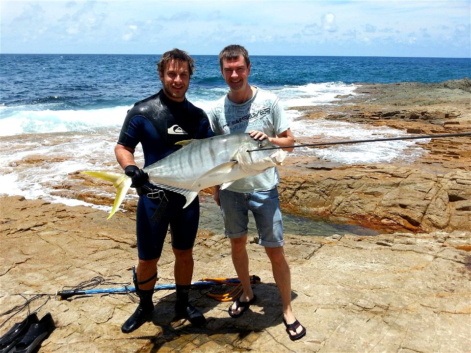 Fresh catch of Golden Trevally in town of 1770, Queensland, Australia