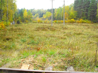 Бронная Гора. По обе стороны от железнодорожного полотна располагались расстрельные рвы и места захоронения более 50 000 евреев во времена Холокоста.