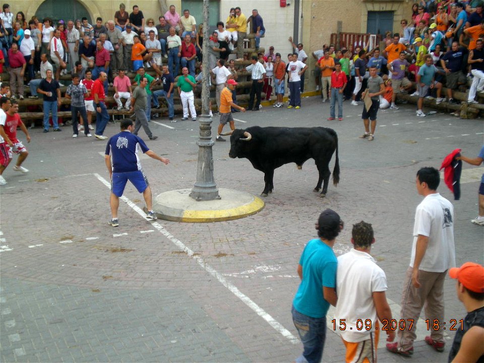 Un toro en la plaza del Ayuntamiento durante las fiestas de septiembre photo