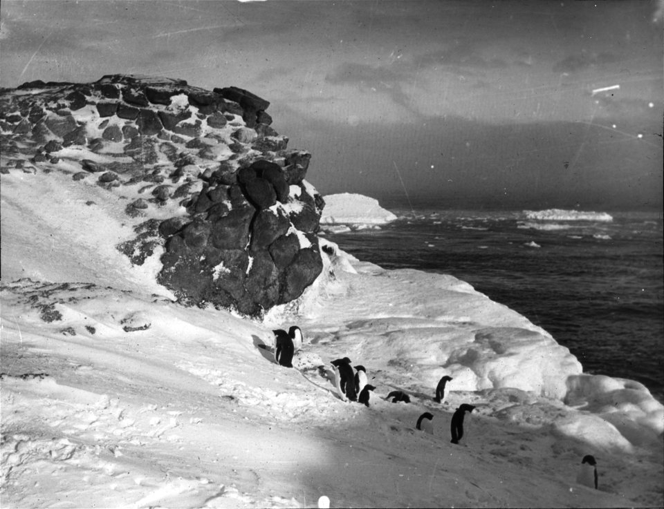 Photographs of the Nimrod Expedition (1907-09) to the Antarctic, led by Ernest Sheckleton