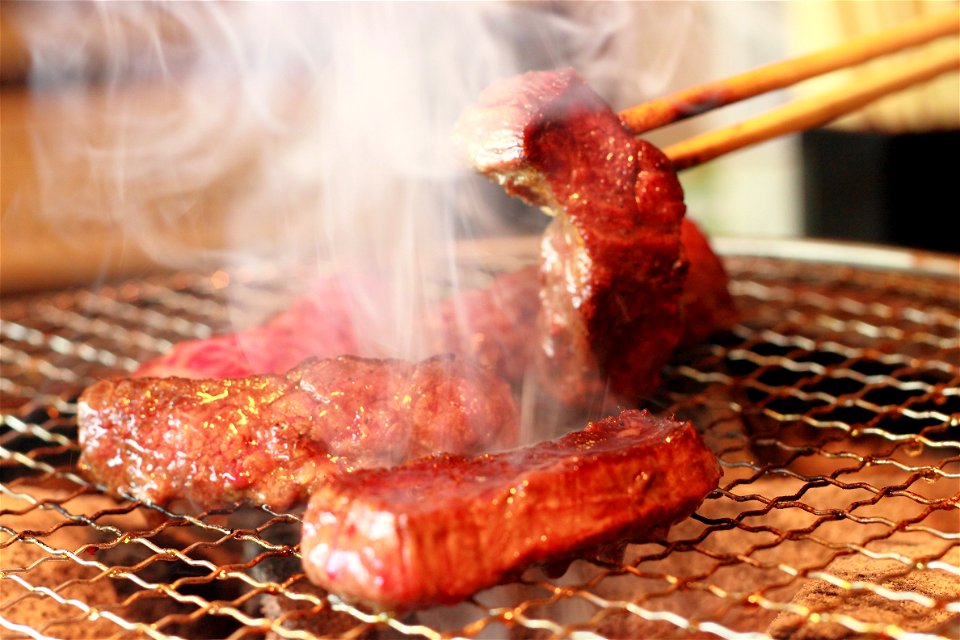 Grilled Meat