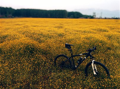 Mountain Bike Bicycle photo