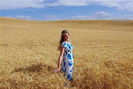 Wheat Field Woman photo