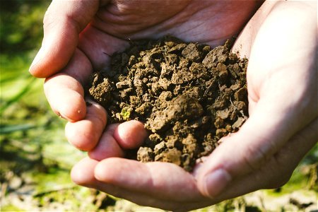 Soil Hands photo