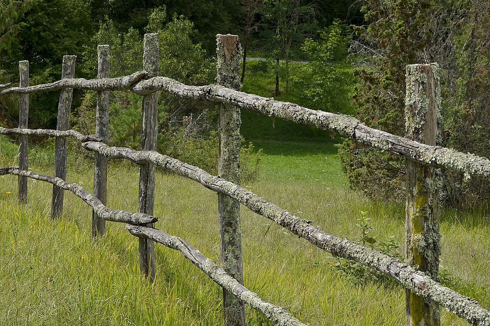 Wooden grass plants