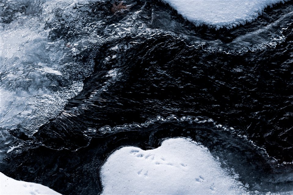 Cold Winter Stream