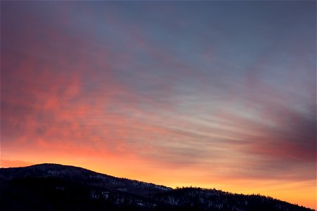 Winter Morning Sunrise photo