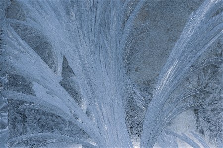 Window Frost Texture photo