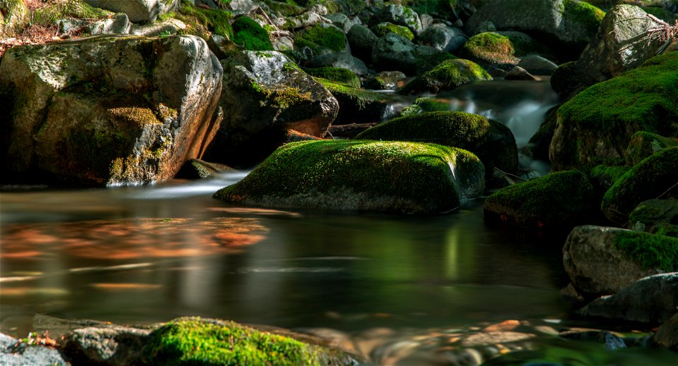 Rocky Stream in the Summer photo