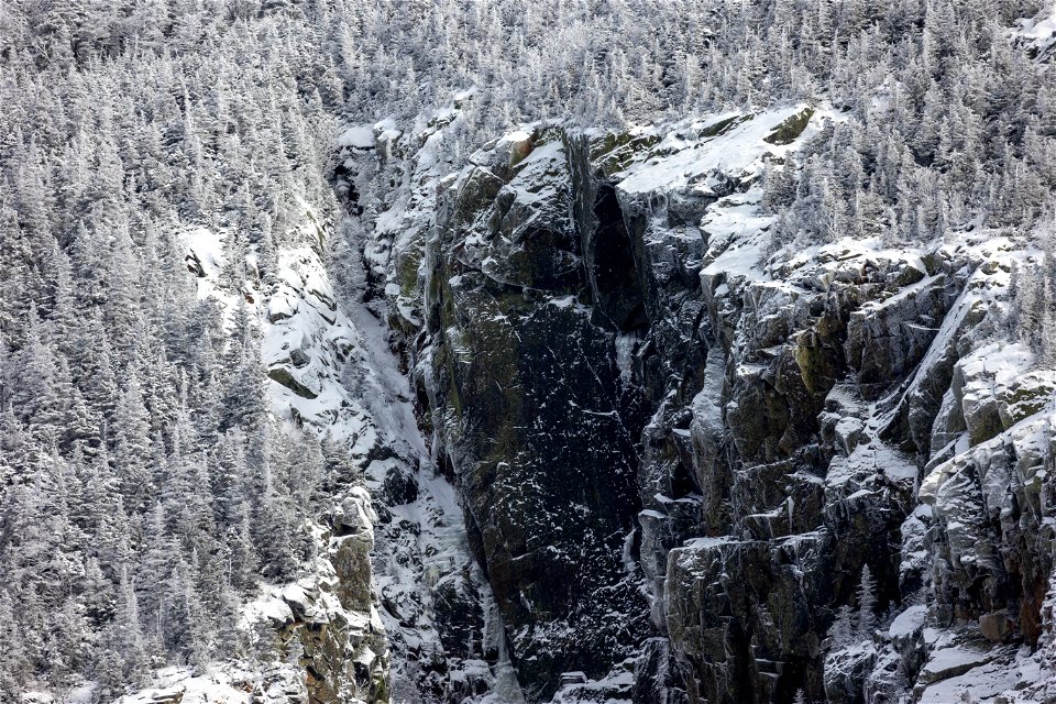 Winter Forest Cliff photo