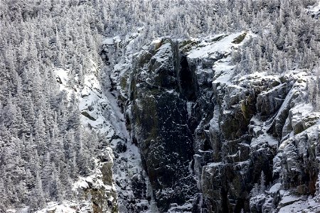 Winter Forest Cliff photo