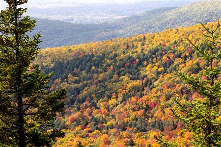 Autumn Mountain Landscape photo