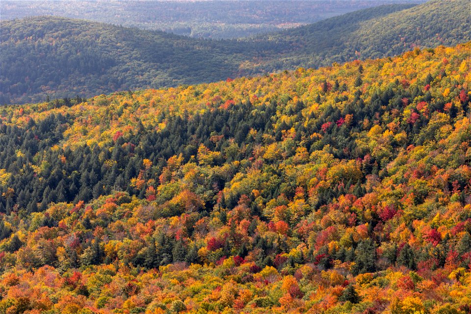 Colorful Fall Landscape photo