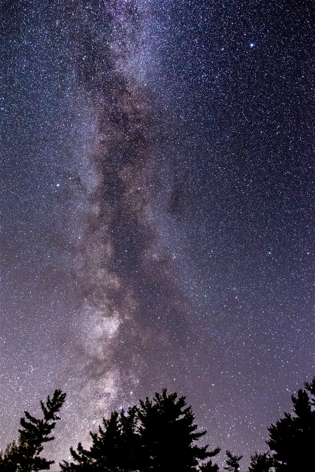 Millions of Stars photo