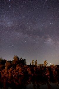 Milky Way Over Trees and Water photo
