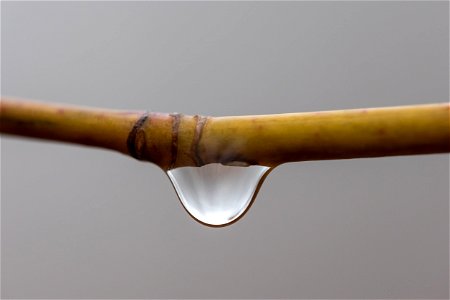 Macro Water Droplet photo