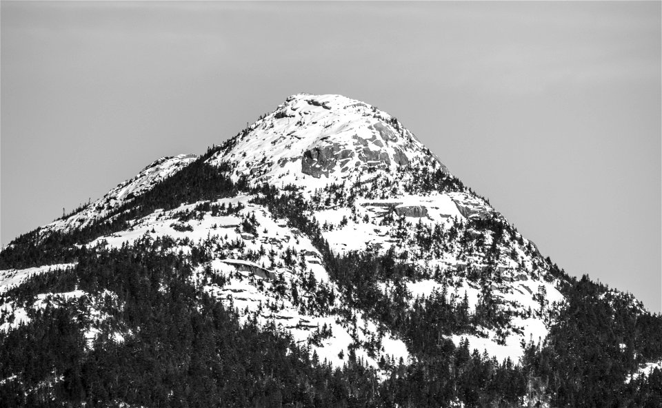 Vintage Winter Landscape photo