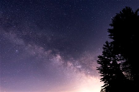 Milky Way Tree Silhouettes photo