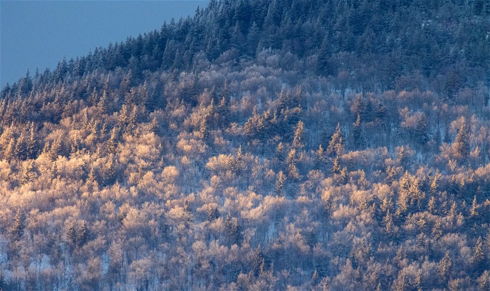 Moody Winter Landscape photo