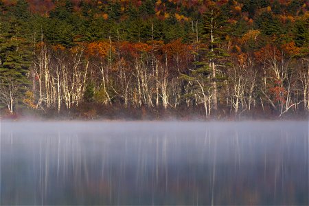 Scenic Lake Reflection photo