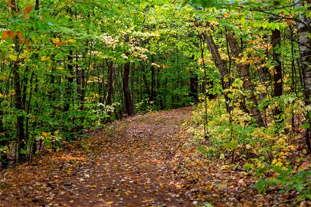 Colorful Autumn Hiking Path photo