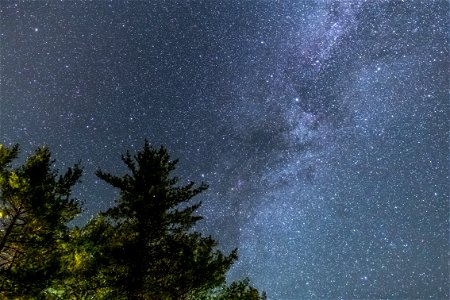 Milky Way Stars Crossing Trees photo