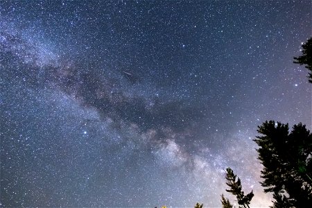 Milky Way Galaxy Core and Trees photo